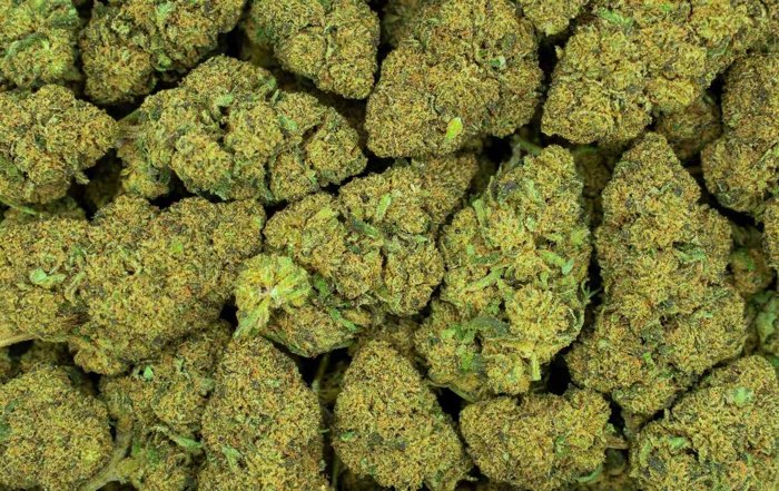 Fleurs de CBD CBDOO