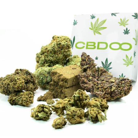 CBD DISCOVERY BOX