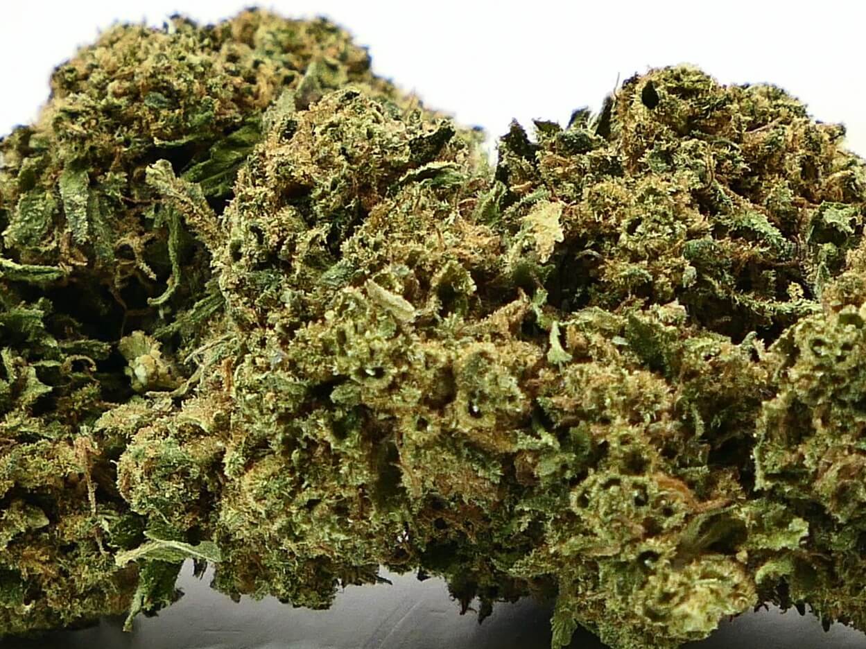 MANDARIN COOKIE FLEUR DE CBD