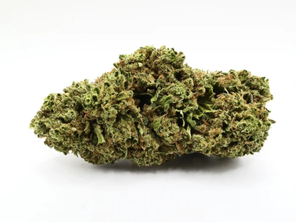 bug bud Mandarin Cookie