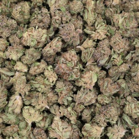 KÄSE MIT CBD-BLÜTEN