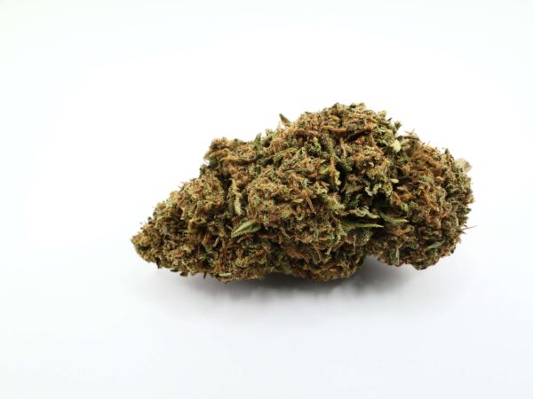 CBD kaas bloem op een witte achtergrond