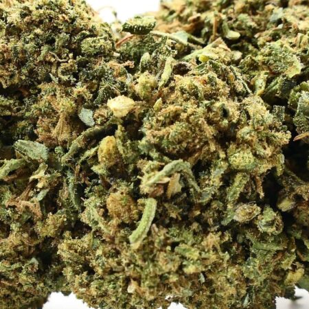 GELATO FLEUR DE CBD