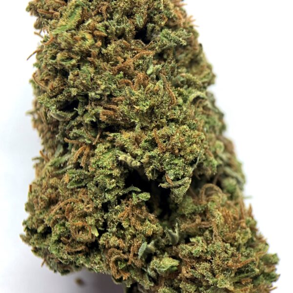 Super royal haze fleurs de CBD 2023