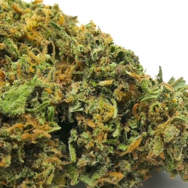 https://cbdoo.fr/produit/orange-kush/