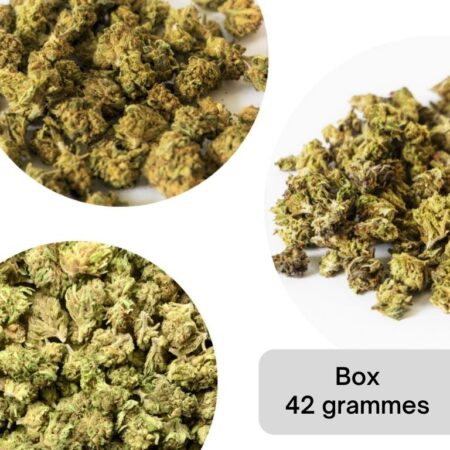 Box small bud master découverte 42 grammes