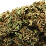 CANNADIESEL