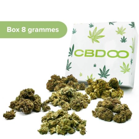 CAJA BROTE SMALL DÉCOUVERTE