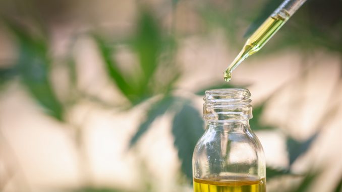 huile de cannabis devant des plantes de cbd