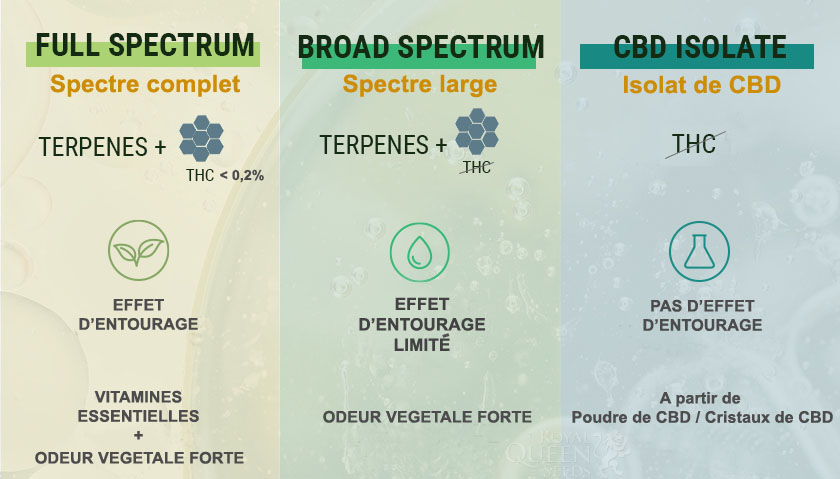différence entre full spectrum et broad spectrum et cbd isolate