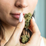 femmes qui sent les terpènes de la fleur de CBD