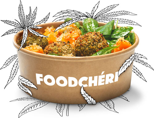 food and falafel in a bowl