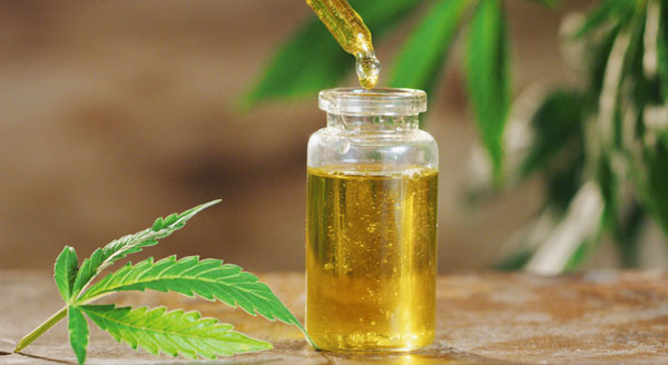 huile cannabidiol en flacon avec plante cannabis