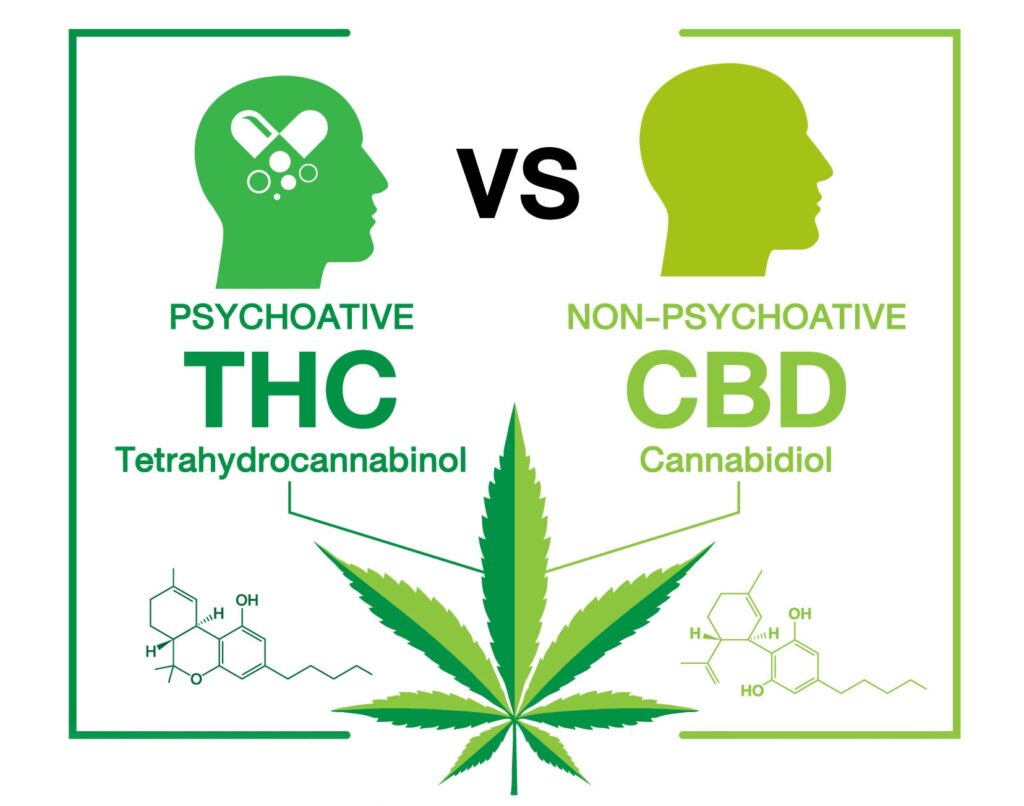 différence entre THC et CBD psychoactif ou non-psychoactif