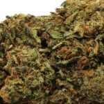CANDY KUSH
