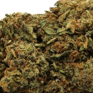 ORANGE BUD - Premium indoor CBD flower - CBDOO.fr