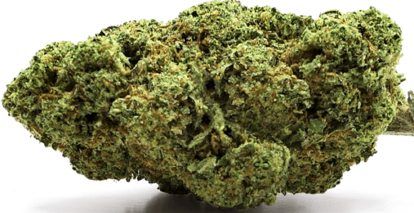 TANGERINE DREAM FLEUR DE CBD