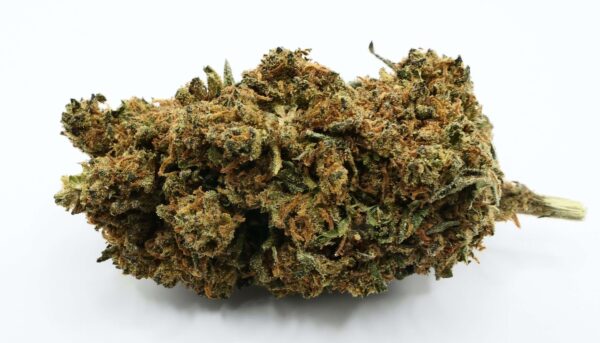 Flor Candy Kush CBD sobre um fundo branco
