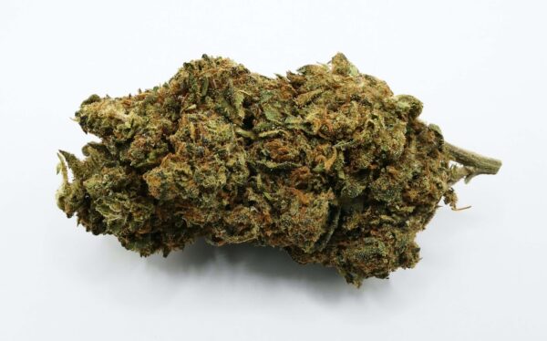 Flor Kandy Kush CBD sobre um fundo branco