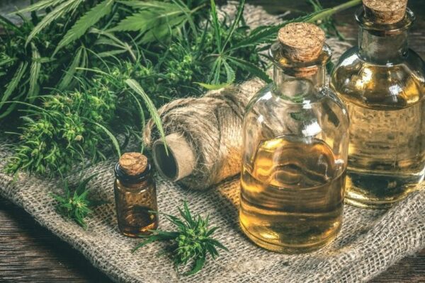 huile de cannabidiol ainsi que plant de cannabis