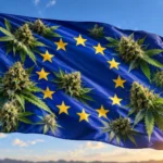 Taux de THC en Europe