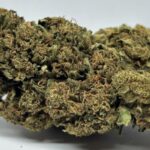PLATINUM OG