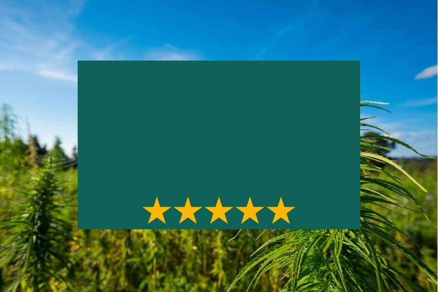 image 5 étoiles google merci