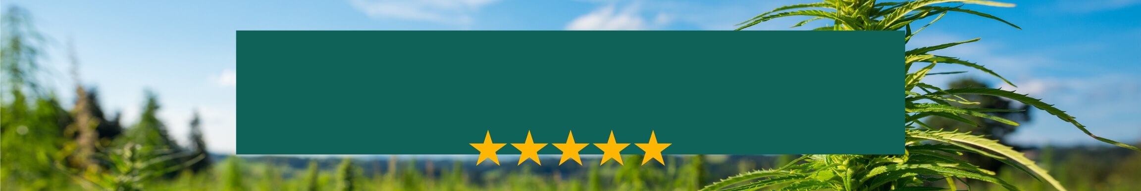 image 5 étoiles google merci