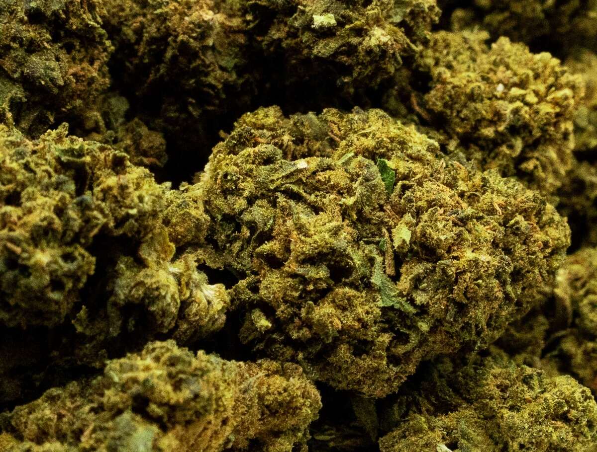 Greenkush -CBDGreenkush
