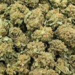 TROPICAL LEMON