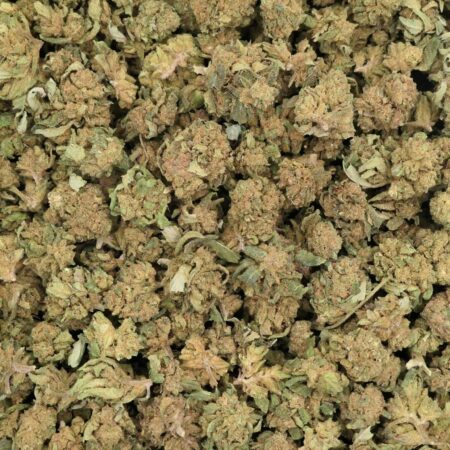 SMALL EMERALD JACK FIORE DI CBD