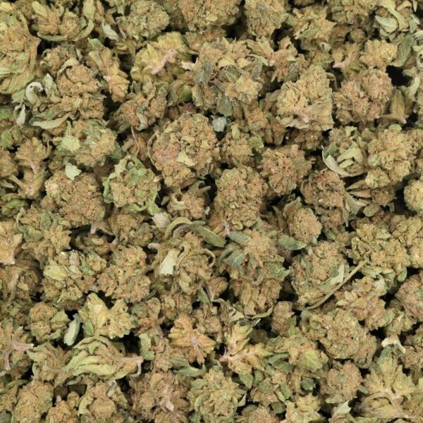 SMALL EMERALD JACK CBD FLOWER