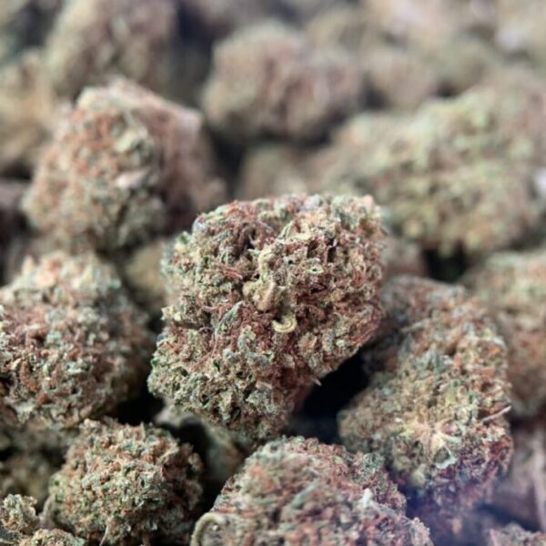 Small Bud Fleurs de CBD