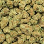 SMALL BAGAS DE BUD