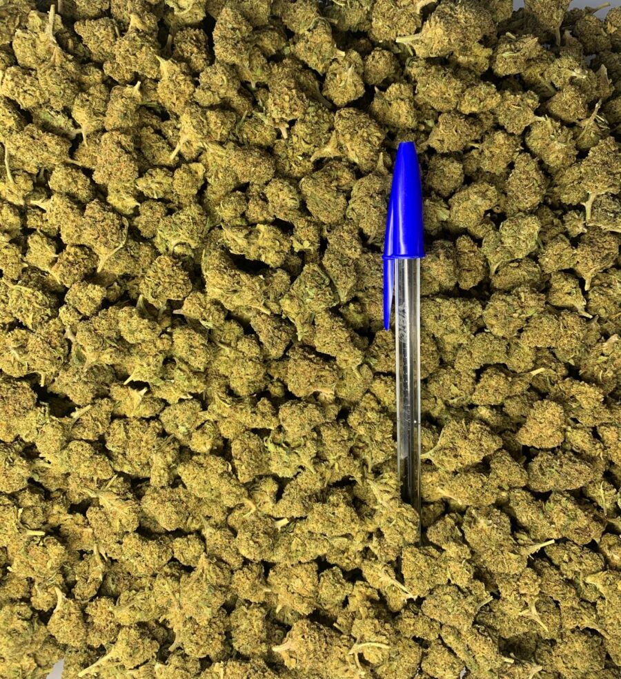 MEDIUM BUD EXTRA