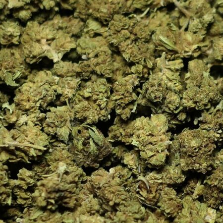 SMALL BUD AMNEZ FLEUR DE CBD