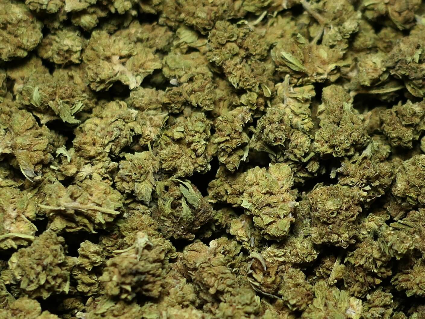 SMALL BUD AMNEZ FLEUR DE CBD