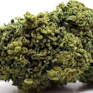 AMNESIA CBD AMNESIA