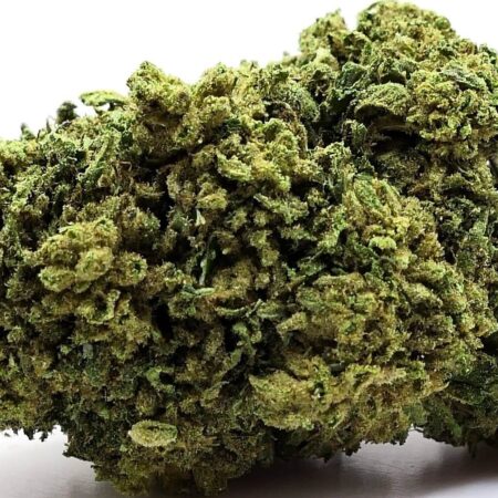 AMNESIA FIORE DI CBD
