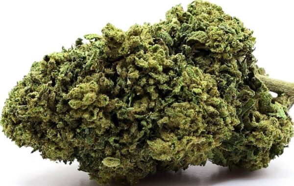 AMNESIA HAZE