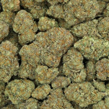 Blueberry Kush Flores de CBD