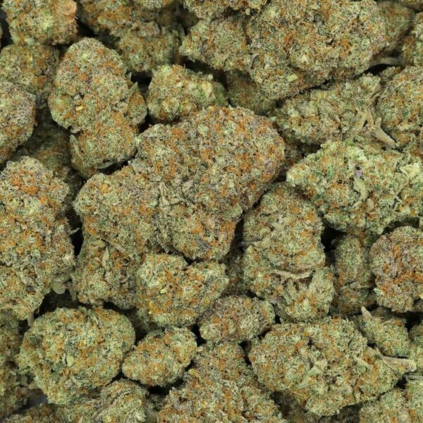 Blueberry Kush CBD-Blüten