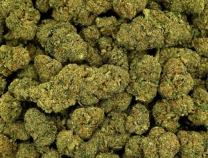 CALI KUSH