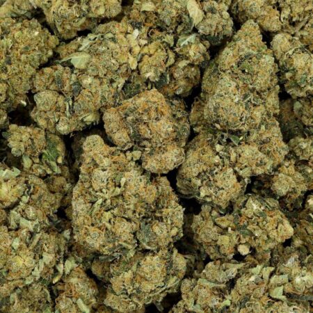 SKYWALKER OG – HYDROPONISCH ANGEBAUTE SKYWALKER OG