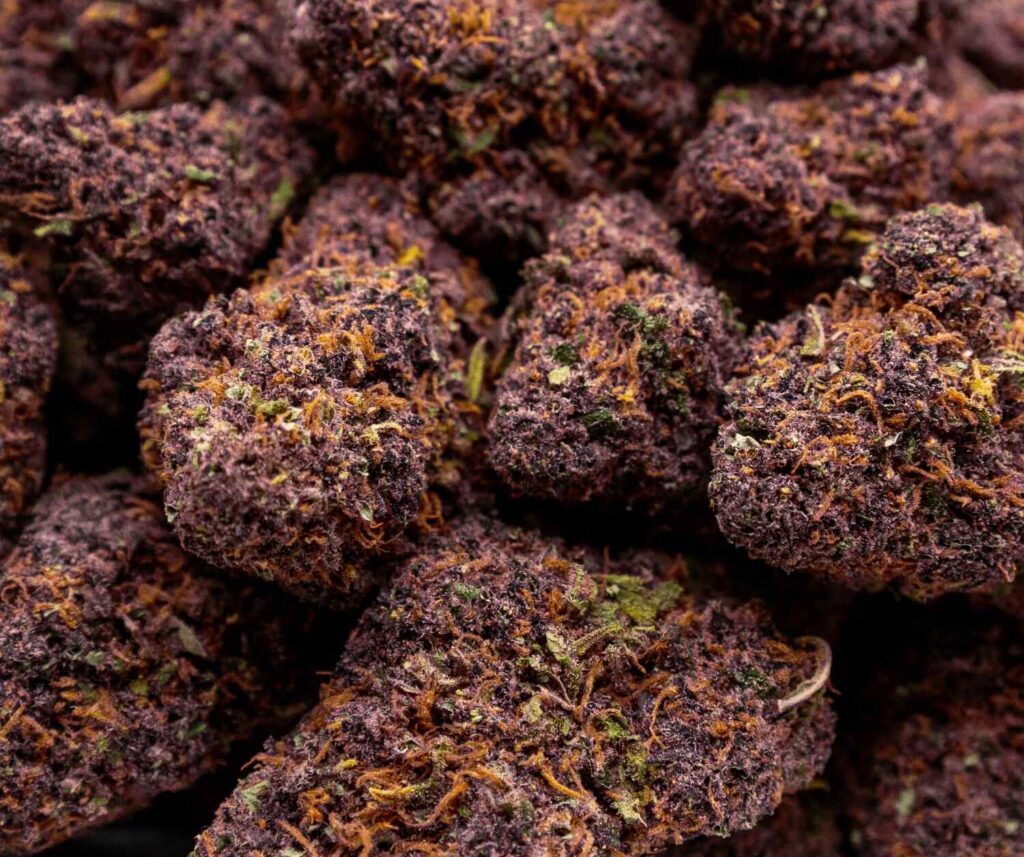 blueberry