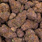 blueberry CBD-virágok