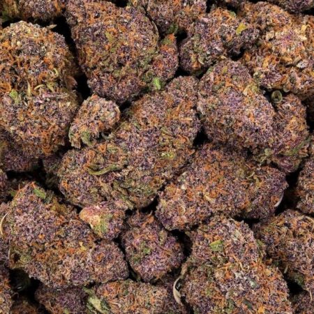 CBD-Blüten blueberry “
