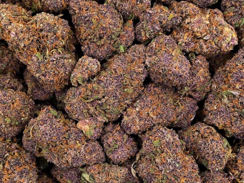 flores de CBD blueberry