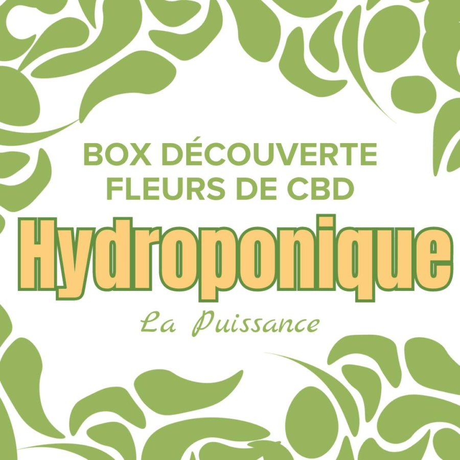 box hydroponische cbd-blumen