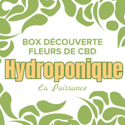 box fleurs de cbd hydroponiques